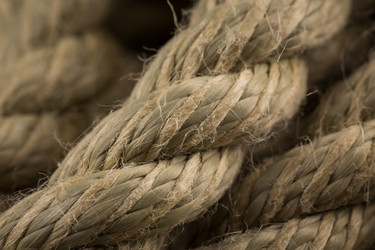 Similar image 12250956