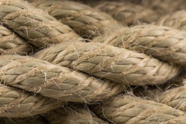 Similar image 12250960