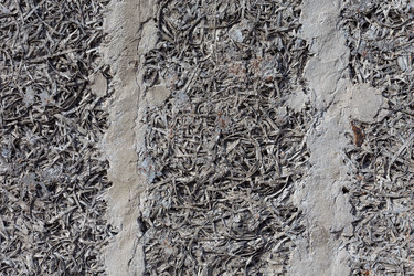 Similar image 12250973