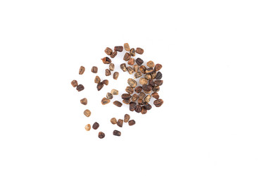 Similar image 12250975