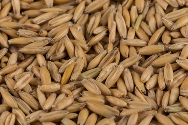 Similar image 12250994