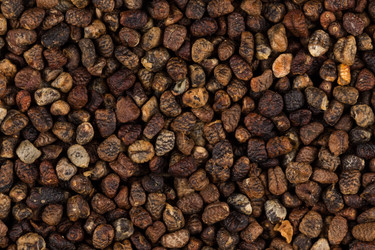 Similar image 12251009