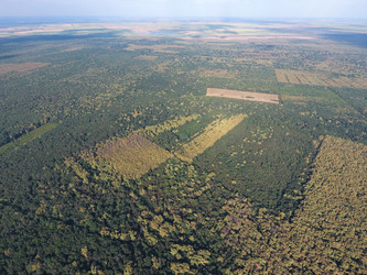 Similar image 12252802