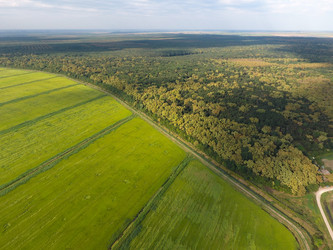 Similar image 12252803