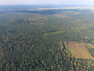 Similar image 12251301