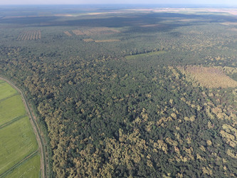 Similar image 12251280