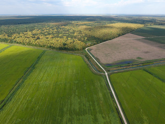 Similar image 12252934