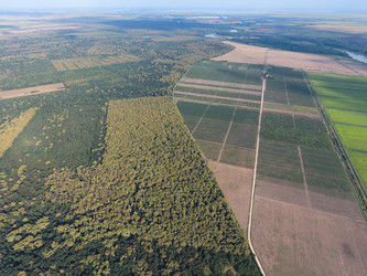 Similar image 12252954