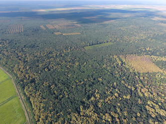 Similar image 12251302