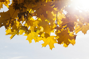 Similar image 12254854