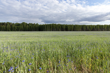 Similar image 12254924