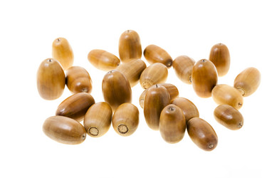 Similar image 12254816