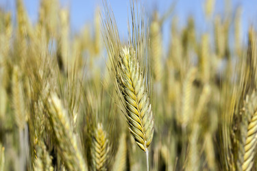 Similar image 12254857