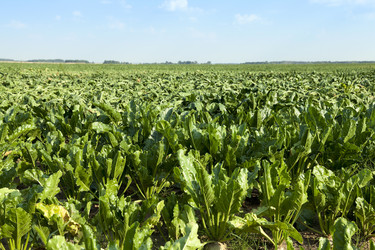 Similar image 12254964