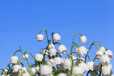 Similar image 12348060