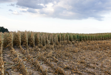 Similar image 12250523