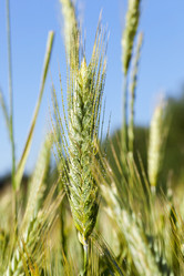 Similar image 12254088