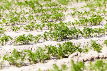 Similar image 12254090