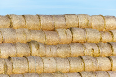 Similar image 12254840