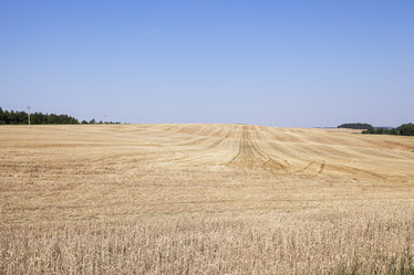 Similar image 12254858