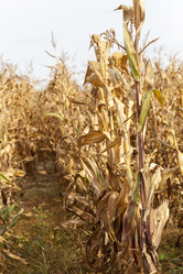 Similar image 12348043