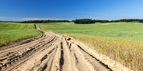 Similar image 12250526