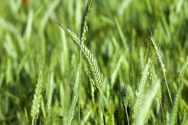 Similar image 12254091