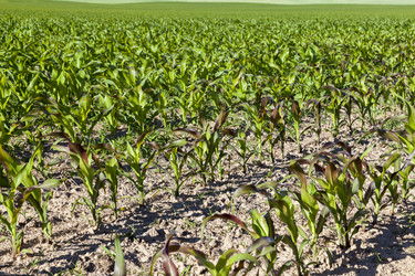 Similar image 12254802