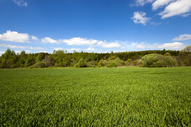 Similar image 12254841