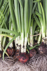 Similar image 12348048