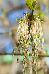 Similar image 12253988