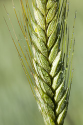 Similar image 12254070