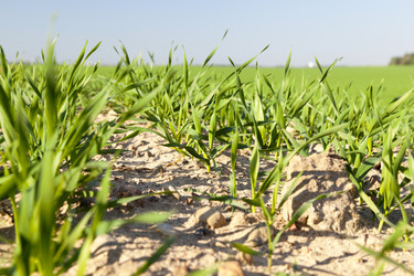 Similar image 12254095