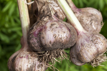 Similar image 12254822