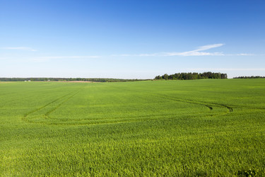 Similar image 12254843