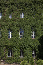 Similar image 12254966