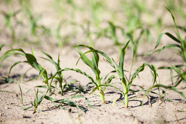 Similar image 12254052