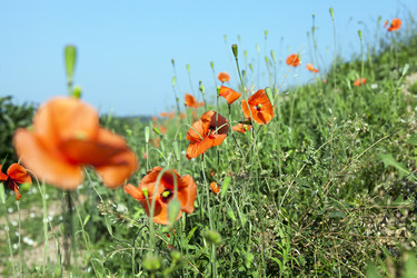 Similar image 12254805