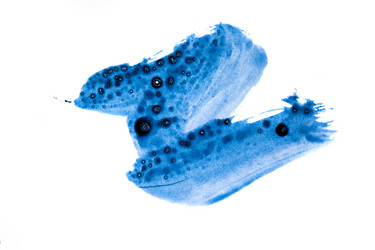 Similar image 12348052