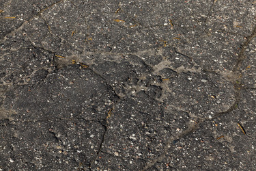 Similar image 12348053