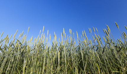 Similar image 12348093