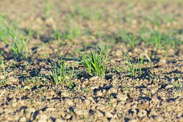 Similar image 12253888