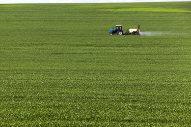 Similar image 12253993