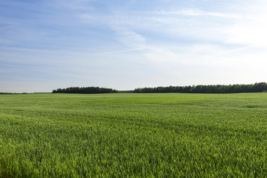 Similar image 12254117