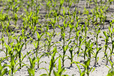 Similar image 12254955