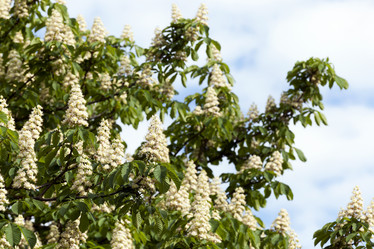 Similar image 12348017