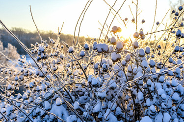 Similar image 12346837