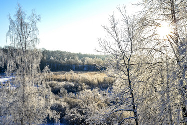 Similar image 12346838