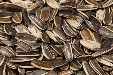 Similar image 12227189