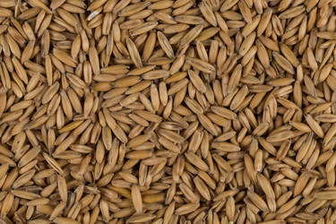 Similar image 12227281